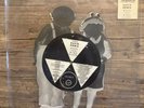 David Bowie — When The Wind Blows … UK Shaped Picture Disc
