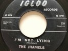 NORTHERN SOUL The Jhamels I'M NOT LYING Igloo 45 very rare