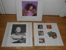 KATE BUSH HOUNDS OF LOVE VINYL ALBUM ORIGINAL RECORD 1985 LYRIC INNER SLEEVE
