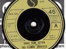 70s Punk New Wave THE FLAMIN' GROOVIES shake some action UK 7