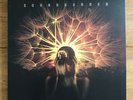 Soundgarden - Black Hole Sun  10