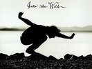 eddie vedder - into the wild (LP NEU ) 8713748980405