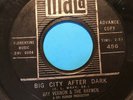 45 RPM Ray Vernon (Link Wray) MALA DJ Big City After / Hold It  VG