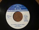 The Four Sonics: If It Wasn't For My Baby 70's / Group Soul 45 NM R&B