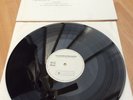 The Grateful Dead - Robert Hunter - Tiger Rose - N/MINT Master Pressing Vinyl LP