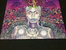 Erykah Badu - New Amerykah Part Two: Return of the Ankh (2010, 2LP)