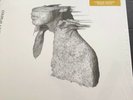 coldplay a rush of blood to the head vinyl White Vinyl. Barnes And Noble Sp . Ed