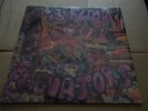 13th Floor Elevators - the Original Sound Of rare studio and live  LP NM