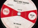 UK ISLAND | WAILERS - WHAT'S NEW PUSSYCAT | 1965
