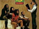 True Democracy [Vinyl] - Vinyl by Steel Pulse (New)