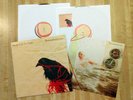 Transatlanticism Death Cab for Cutie 10th Annv 180 G Vinyl Album Near Mint Cond