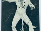 ELVIS PRESLEY -ORIGINAL INTERNATIONAL PERFORMANCE POSTCARD.