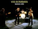 LP LED ZEPPELIN - LIVE IN DENMARK MARCH 1969 PAGE PLANT MINT GATEFOLD RARE VINYL