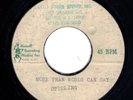 HEAR STERLING More Than Words Can Say UNRELEASED ACETATE FOUR-UM BLUE EYED SOUL
