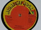 Michael Palmer/Jim Brown 