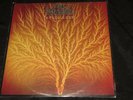 Van Der Graaf Generator : Still Life LP A1/B1 + promo inserts/photo