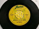 The Quest's Shadows In The Night Super Rare Michigan Garage Rock Fenton 45rpm