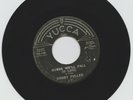 Rockabilly Bobby Fuller 