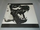 Holy Ghost :   Dynamics    2013    NEW SEALED   double LP + CD