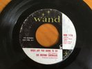 The Moving Sidewalks - What Are You Going To Do / 99th Floor - record