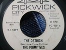 THE PRIMITIVES 