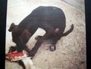 SLOWTHAI 'RUNT EP' 2018 LIMITED 12
