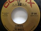 MARCELS 45 Flowerpot / Hold on COLPIX Doowop VG+   c3403