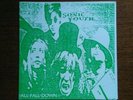 SONIC YOUTH -ALL FALL DOWN -7