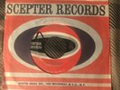 DEL MARINO “Cupid’s Arrow / I’ll Never....” Soul Popcorn SCEPTER 1221 Plays VG+