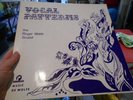 Roger Webb Sound/Barbara Moore - Vocal Patterns/ Music De Wolfe /DW/LP 3182 1971