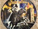 Hammerfall - Renegade (Picture Disc Vinyl) NB 511-1 Germany 2000 release NEW