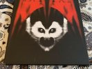 The White Stripes Under Amazonian Lights Vinyl Third Man Records The Vault