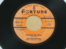THE EARTHQUAKES Darling Be Mine/Bashful Guy 45 RARE Doo Wop HEAR