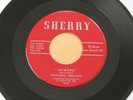FANTASTIC DEE JAYS Apache/This Love Of Ours 45 VG++ Primitive Garage Surf HEAR