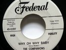 The COMPANIONS 45 Why oh why / I didn't know FEDERAL doowop VG++  c3412