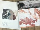 Swallow, Blow LP 4AD CAD2010 Excellent condition *signed* Inc. Set-list *V.Rare*