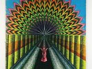 Gabriel Gladstar - A Garden Song LP - Flying Guitar - Private Folk Psych