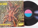 THE WEB. THERAPHOSA BLONDI. FACTORY SAMPLE.TEST PRESSING.UK VINYL LP.DERAM.1969