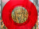 Venom Prison ?– The Primal Chaos LP Vinyl