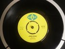 Maytones Loving Reggae / Roy Samuel Musical Beat  BS 152 Blue Cat 7