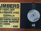 THE NUMBERS   GOVT. BOY  RARE AUST POWER POP/ NEW WAVE ONLY PRIVATE PRESS VGC