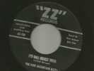 BLUEGRASS ROCKABILLY - PINE MOUNTAIN BOYS- RED BALL ROCKET TRAIN -HEAR- 1961 ZZ