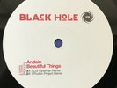Andain - Beautiful Things. Vinyl