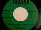 THE IGUANAS- I Can Only Give You Everything 45 Rare Texas Garage Psych