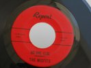 Z9 REPENT 520 TEXAS GARAGE ROCK THE MISFITS NO ONE ELSE ROUTE 66 TROUP FROST