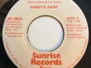 Sandy's Gang 