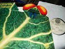 CATAPILLA : CHANGES GIMMICKCOVER LP 1972 VERTIGO SWIRL 6360074 ITALY