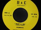 VICEROYS: Five Steps To Hell / Wait & See 45 (sl storage warp)