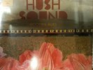 Goodbye Blues by The Hush Sound (Vinyl, Feb-2009, Fueled by Ramen Records)(1)