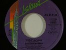 Malcolm McLaren 